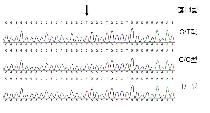 直接測(cè)序法